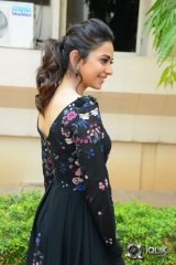 Rakul Preet Singh at Sarrainodu Movie Release Press Meet